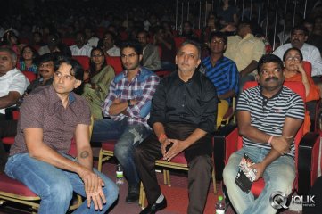 1 Nenokkadine Movie Audio Release